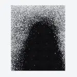 Tapis Pluie Noir et Blanc