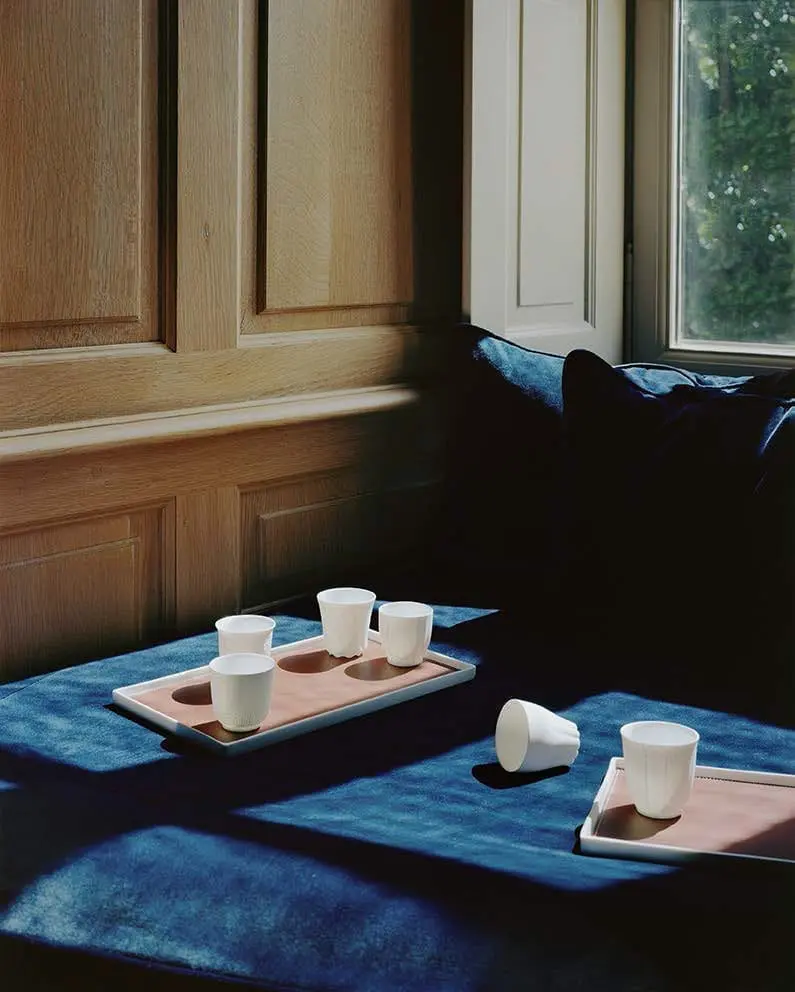 The_Invisible_Collection_Creations_Dragonfly_Singuliers_Tray_insitu
