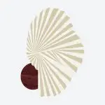 Nautilus Rug Cream