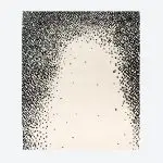 Pluie Rug Beige and Black