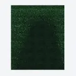 Tapis Pluie Vert