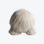 Pouf Atlas 1
