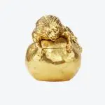 Boîte Lion