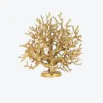 Arbre Corail