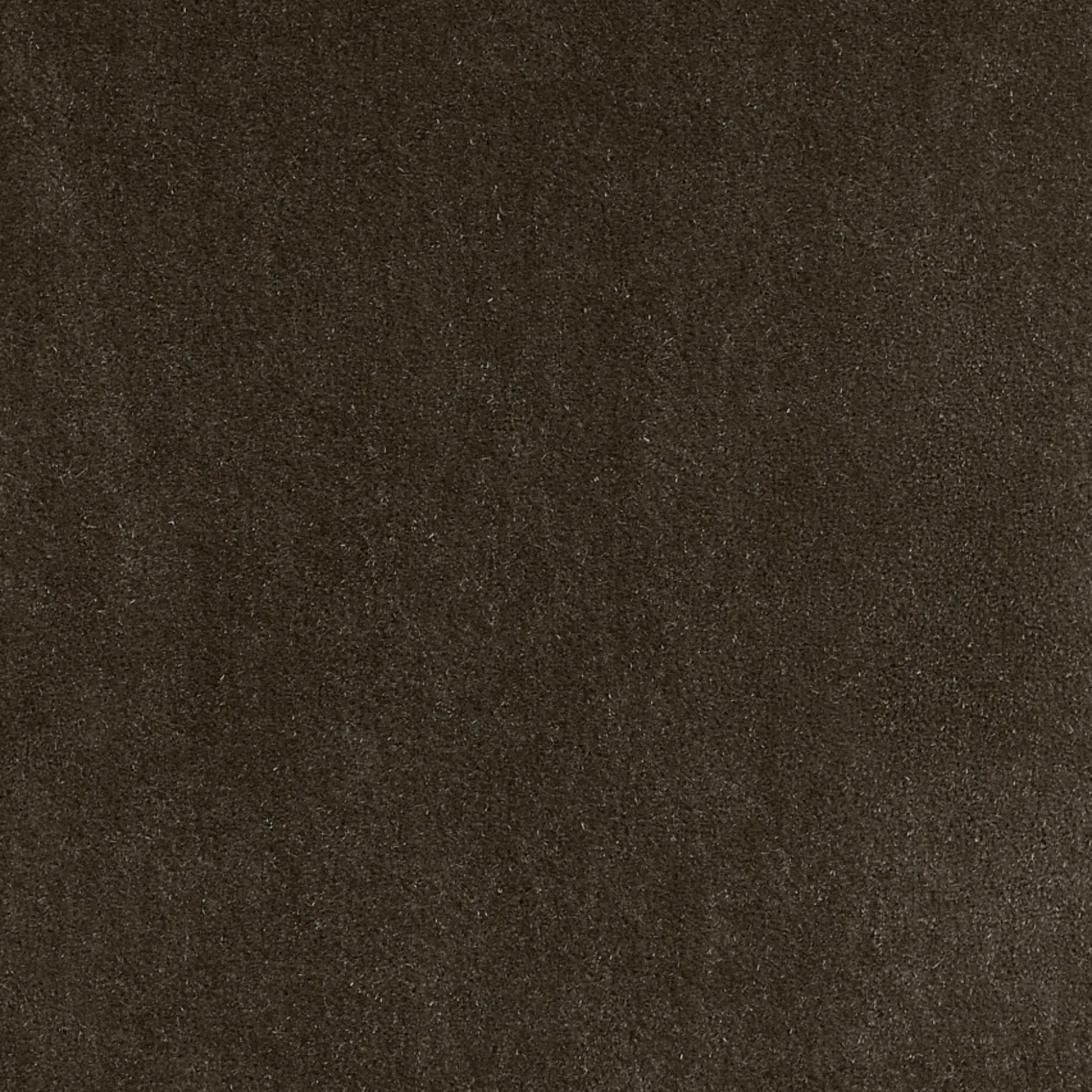Dedar, Vladimiro - Taupe