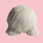 Pouf Atlas 1