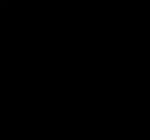 Lacquer Black