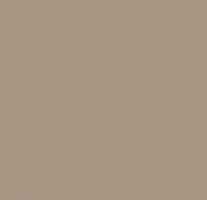 Lacquer RAL 1019