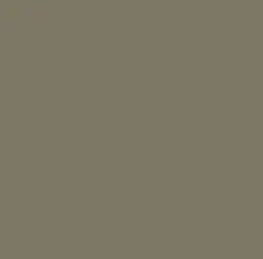 Lacquer RAL 7002