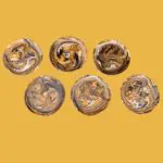 Set of 6 Presentation Plates Mustard