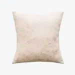 Coussin Dentelle de Plumes