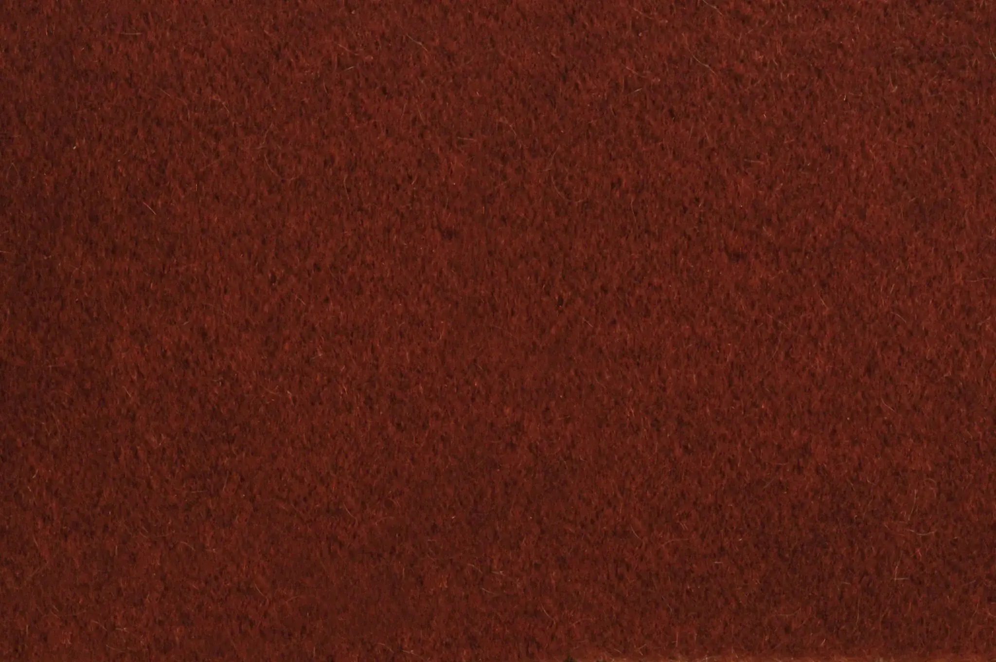 Pierre Frey, Teddy Mohair - Acajou