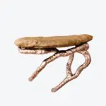 Aux Arbres Wall Console Gold