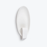Paola Sconce