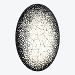 Egg Shell Rug Black