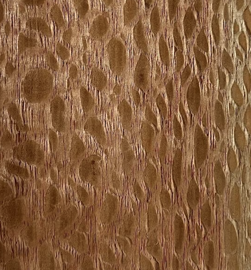 Louro Faia Wood – Natural