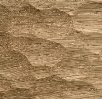 Large Gouged Oak