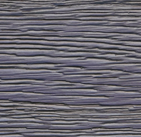 Blueberries