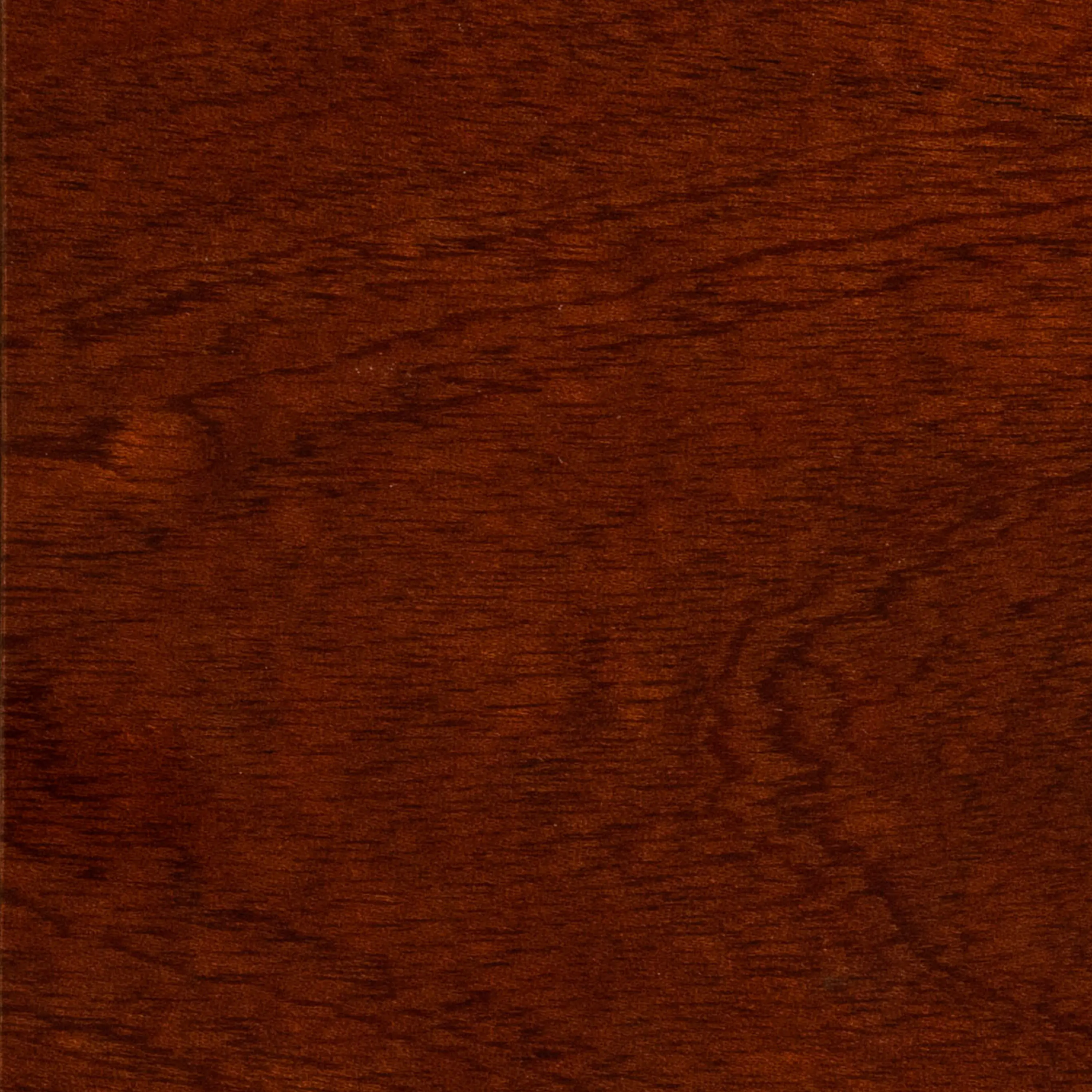 Bise - Glossy Mahogany