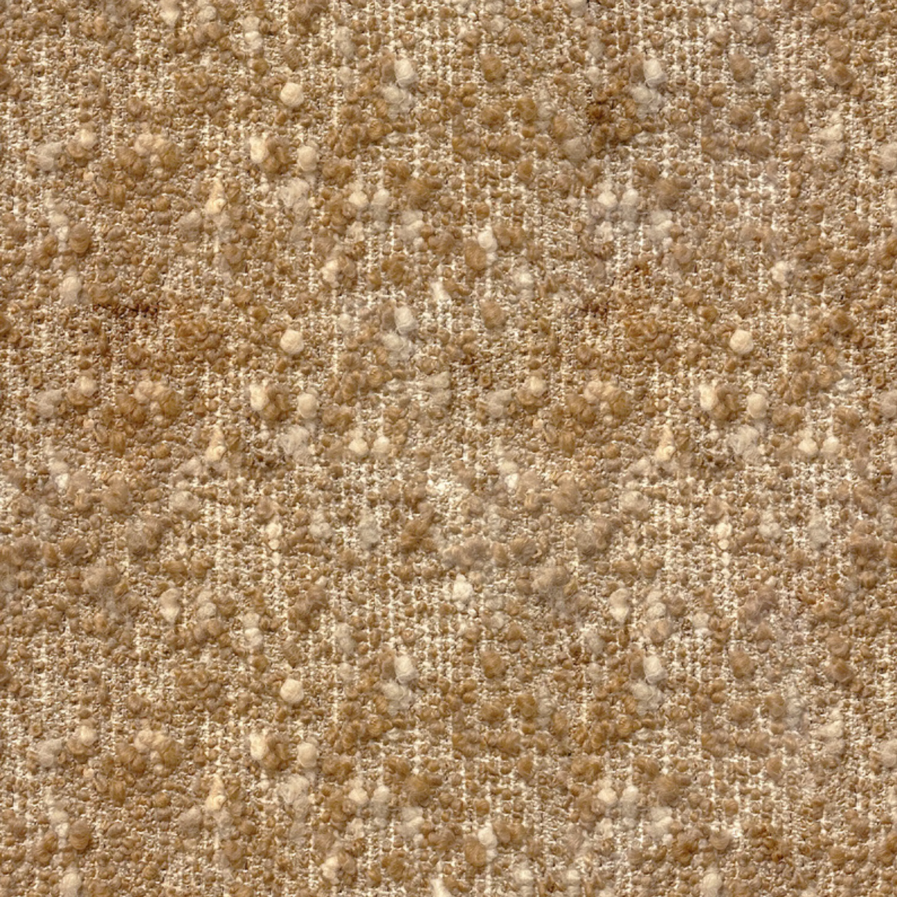 Pierre Augustin Rose, Cambon - Beige