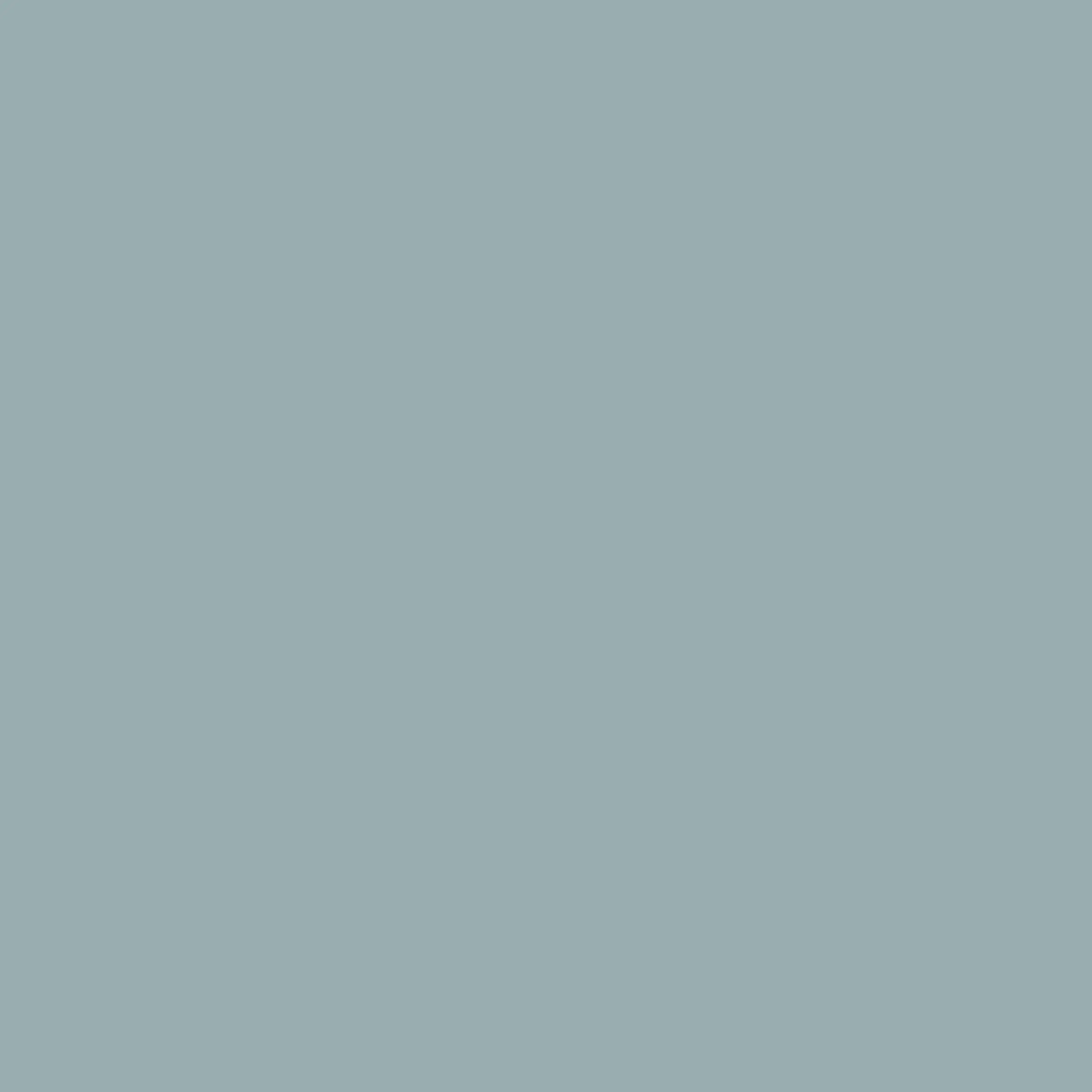 Lacquer RAL S 3010-B50G