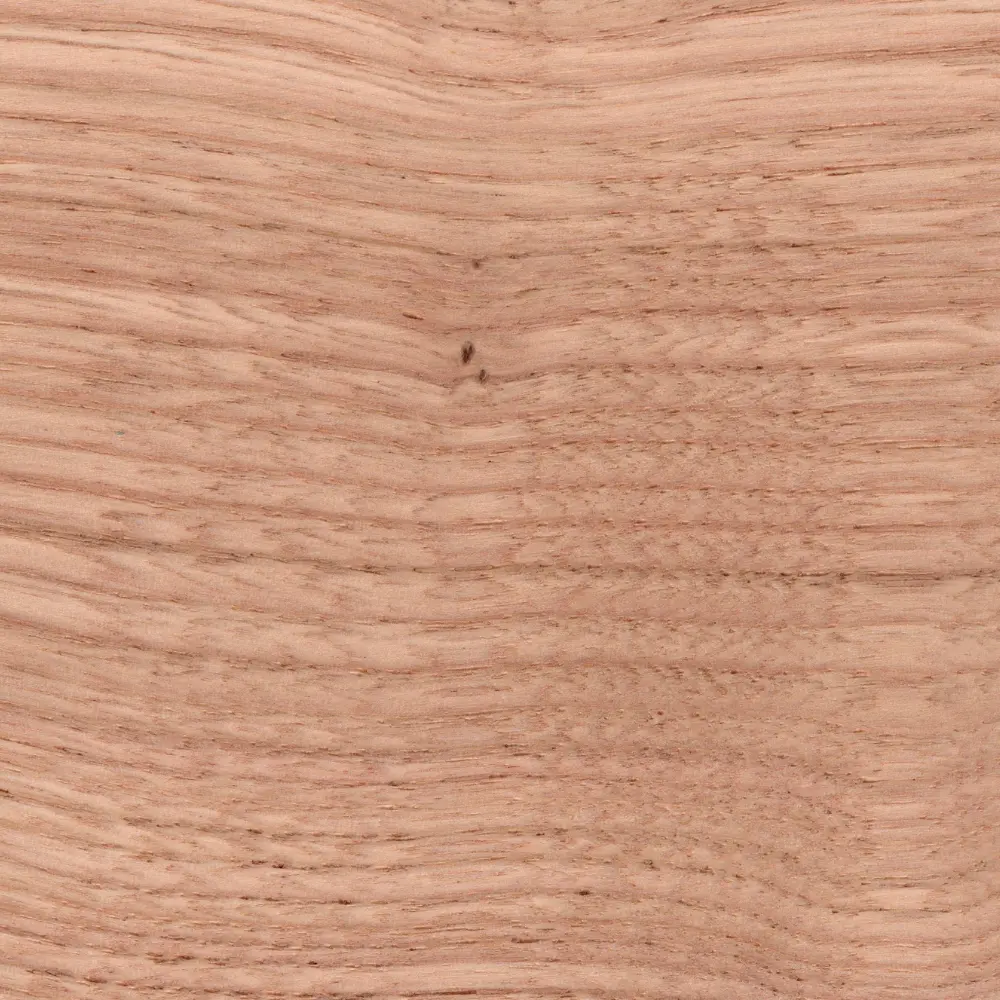 F01 - Natural Chestnut