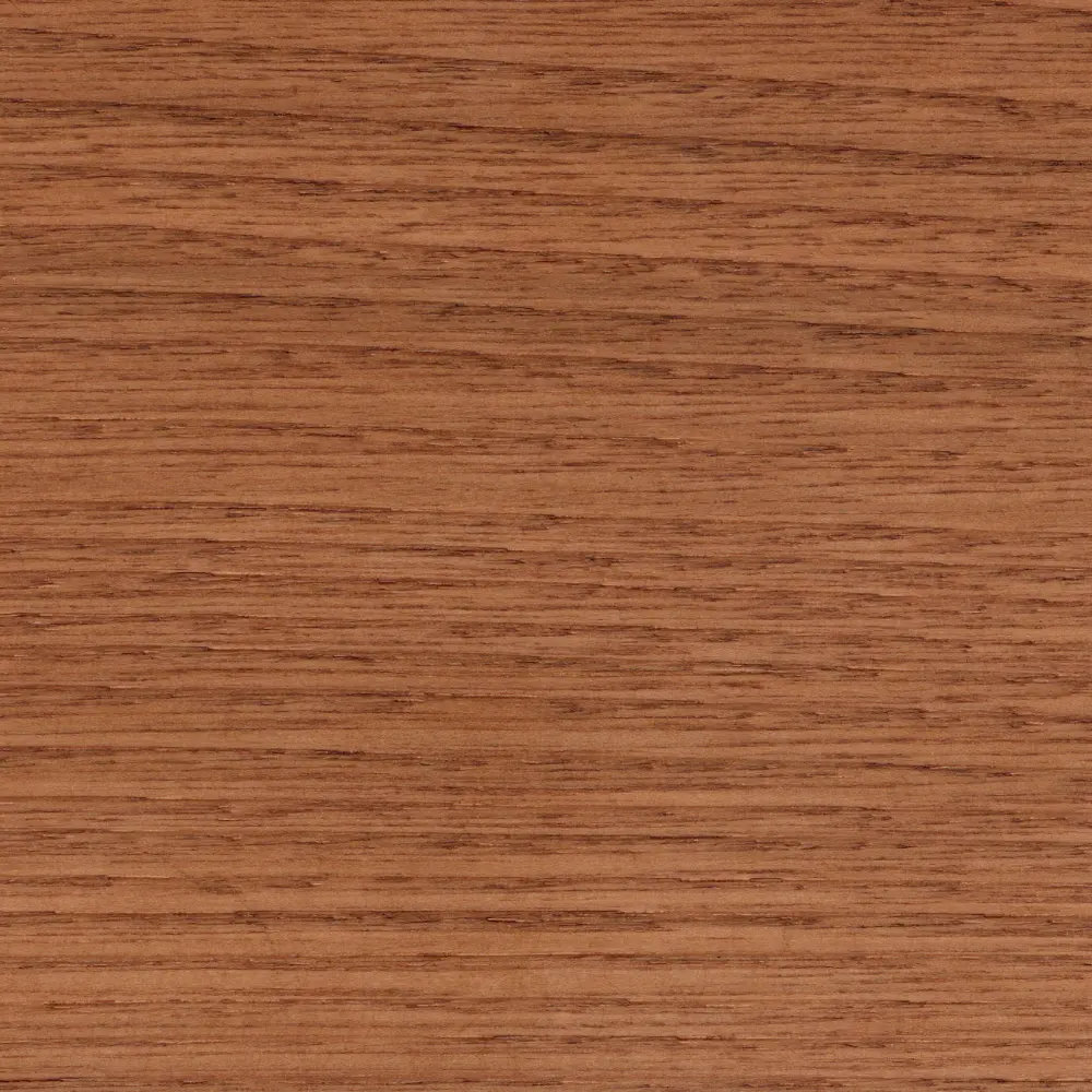F02 - Chestnut Shade 02