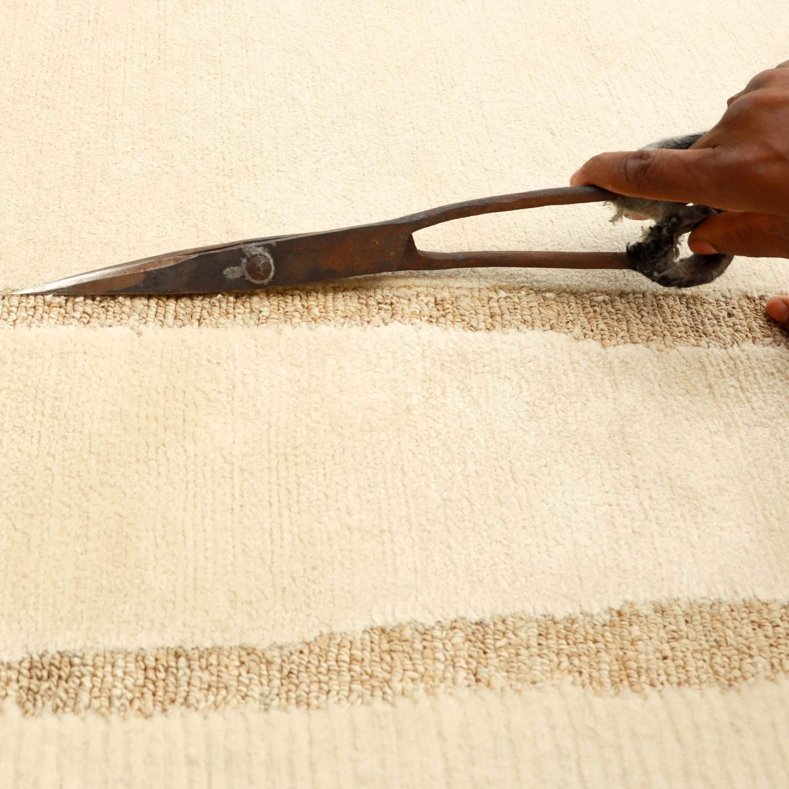 Meet our Rug Specialist