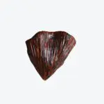 Oti Wall Lampshade