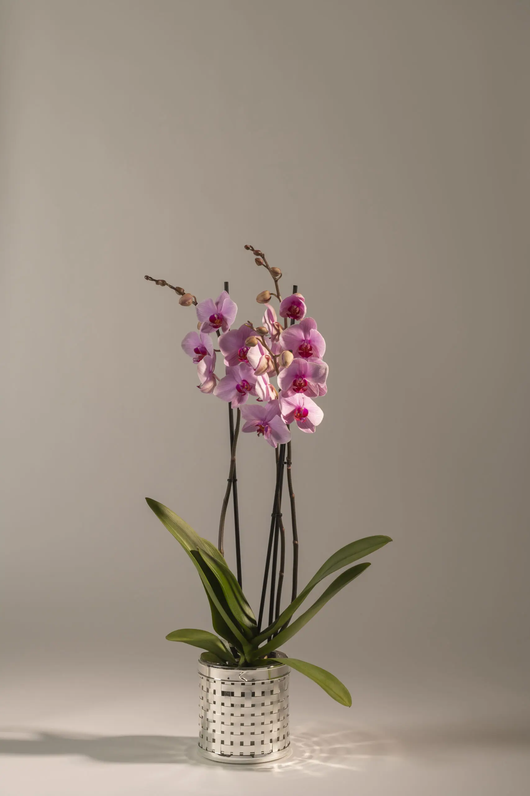InvisibleCollection_Pinto_MetalTisséRoundVase_5
