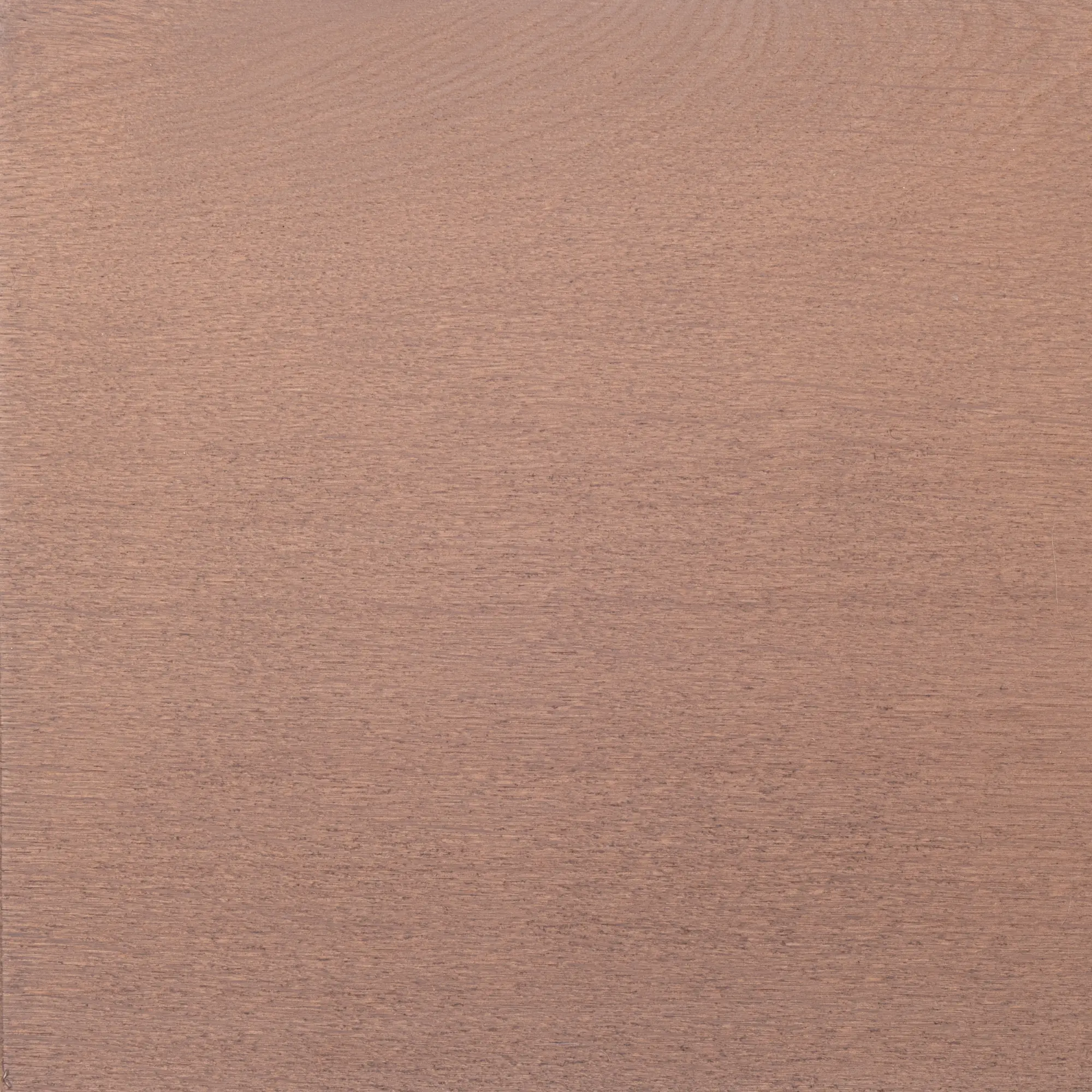 Bosc - Brownie Oak