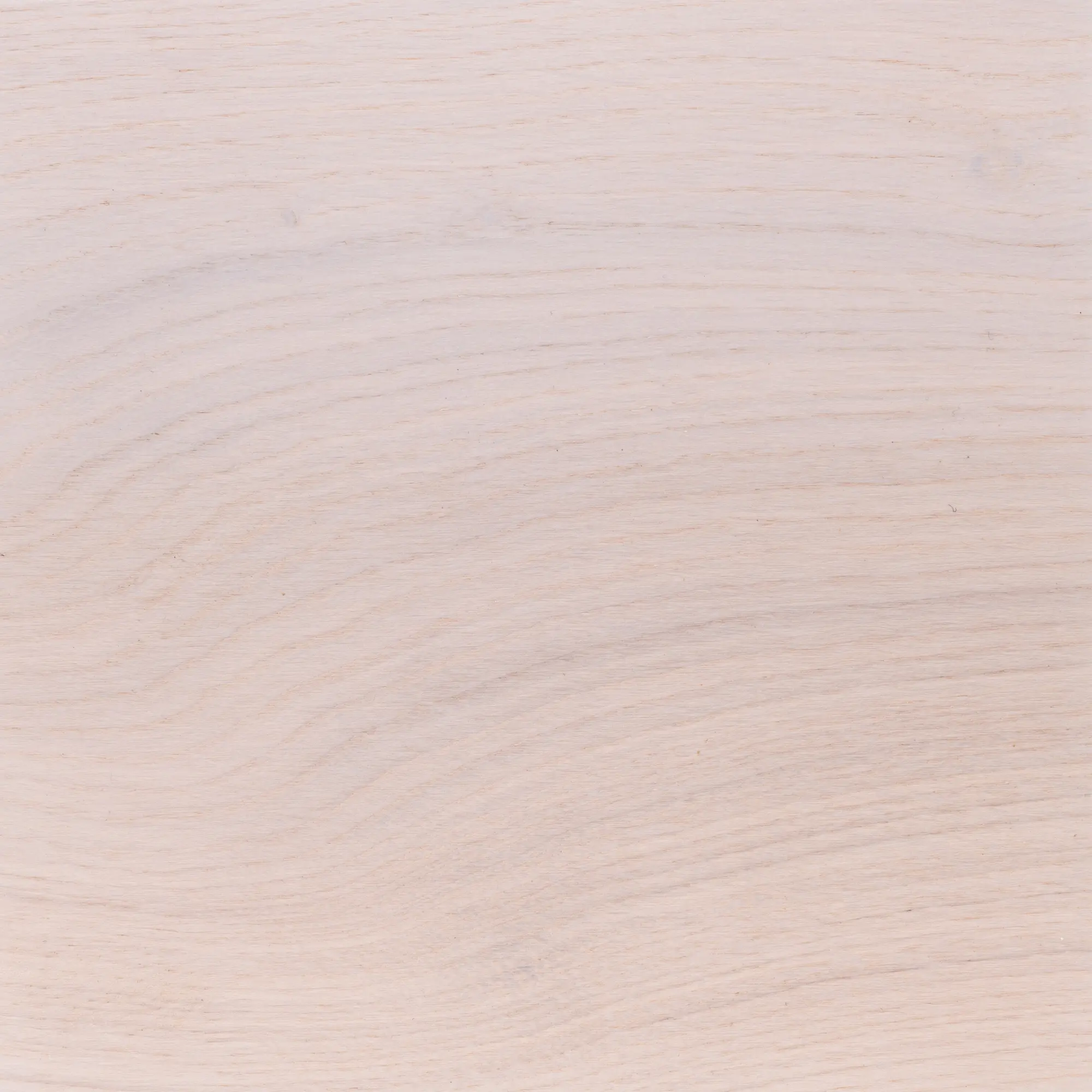 Bosc - Snow Oak