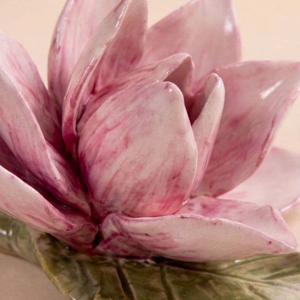 InvisibleCollection_Laclaux_SET_OF_6_Fruits (2)