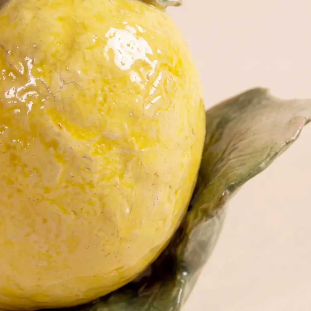 InvisibleCollection_Laclaux_SET_OF_6_Fruits (4)