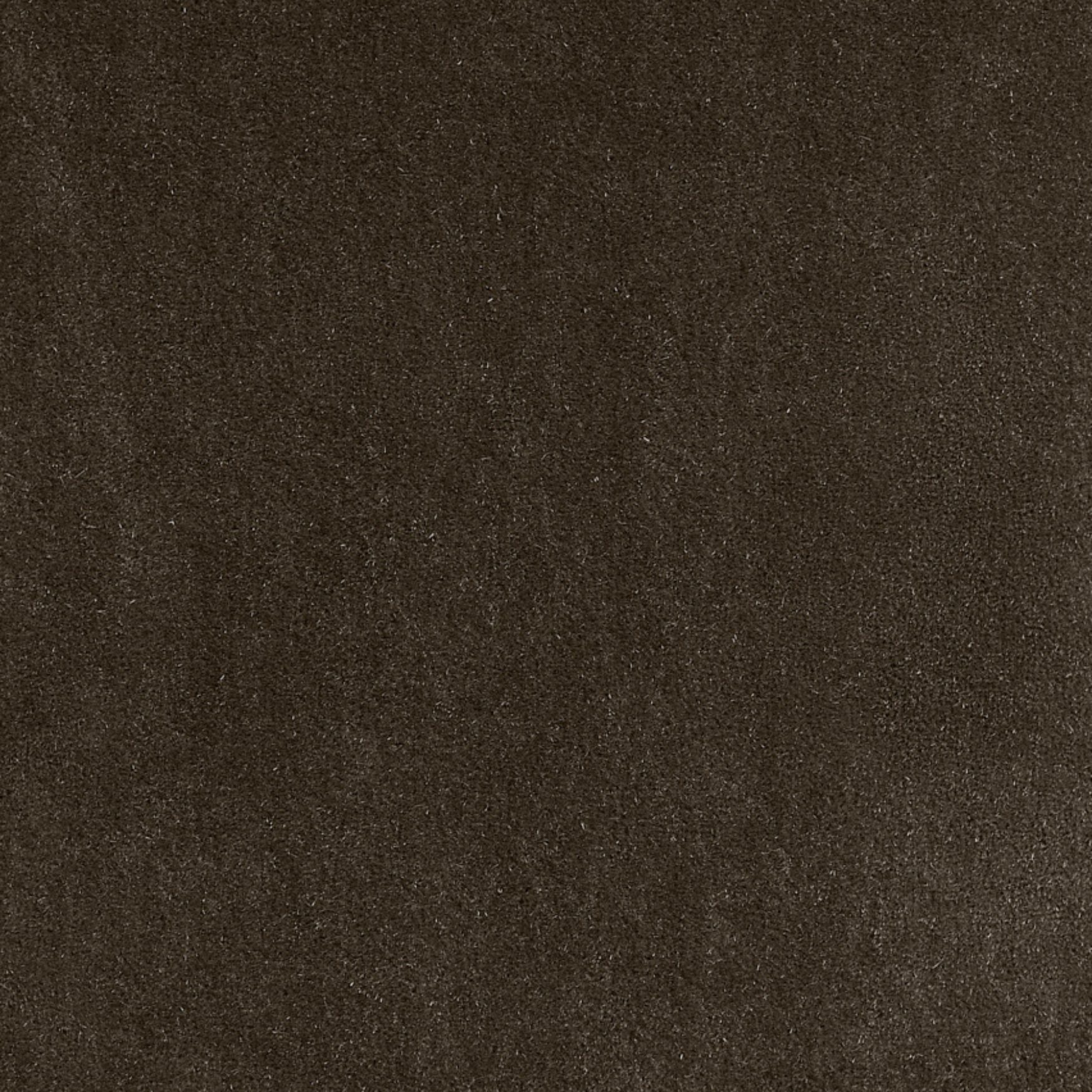Dedar, Vladimiro - Taupe