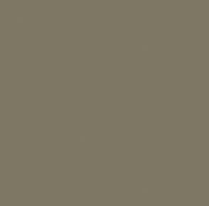 Lacquer RAL 7002