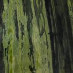 Green Bamboo Marble
