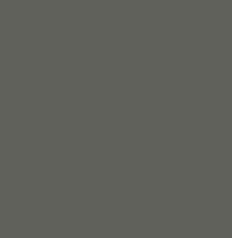 Green Grey RAL 7009