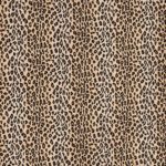 Schumacher Safari Epingle - Leopard