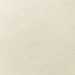 Futura Leather - couleur Blanc