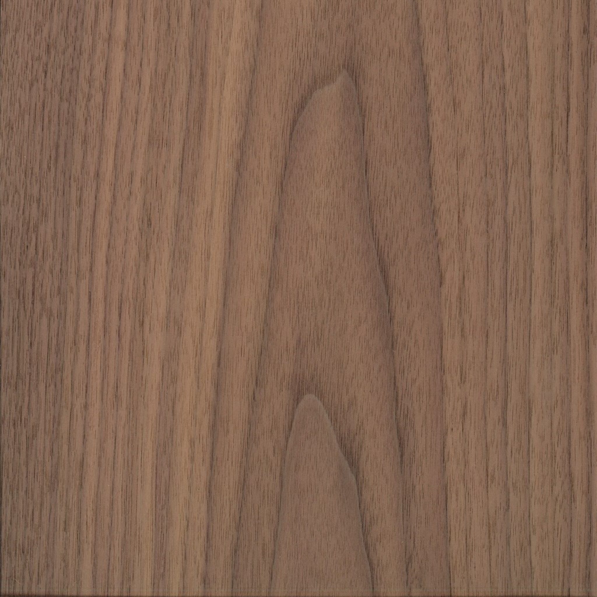 European Walnut