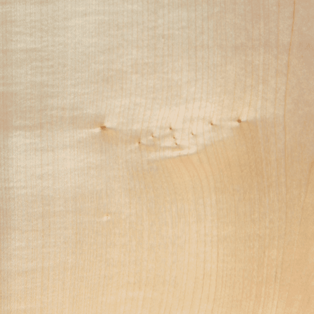 Natural Sycamore