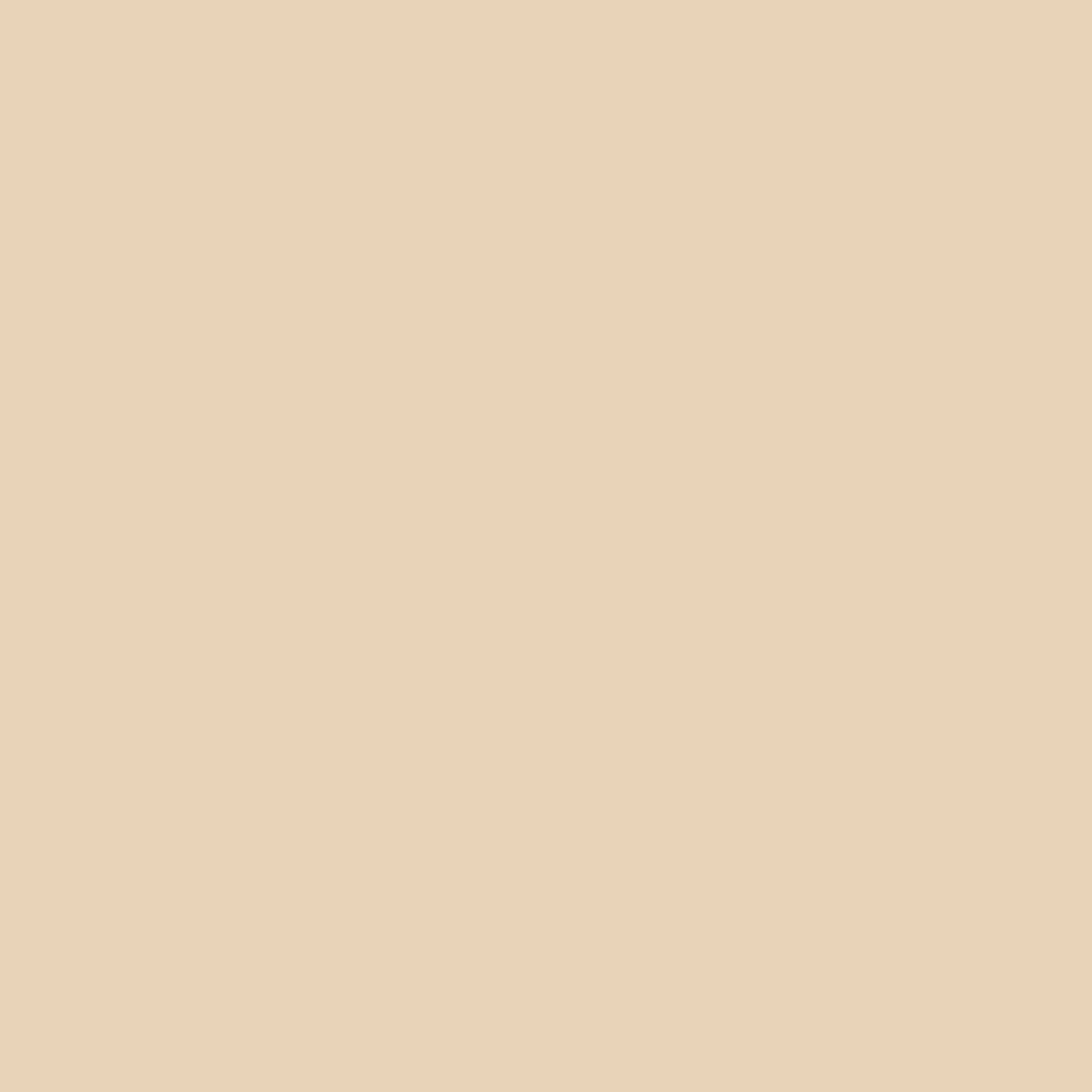 Light Ivory, RAL 1015
