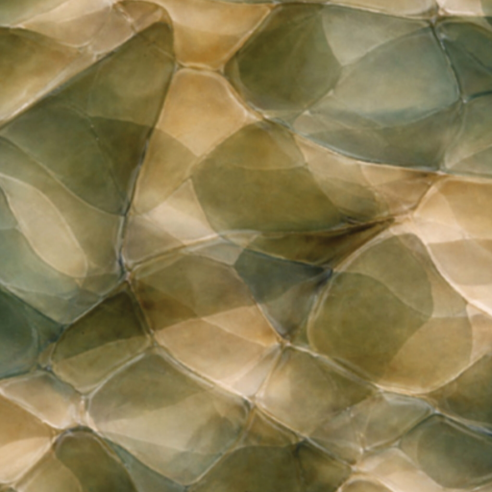 Laminated Glass, Green-Fumé Flakes
